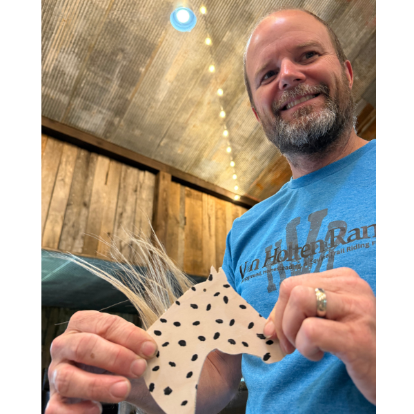 DIY Equine Ornament Kit – Custom Keepsake Craft