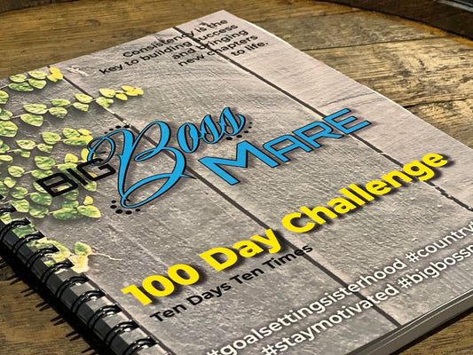 Big Boss Mare 100 Day Planner