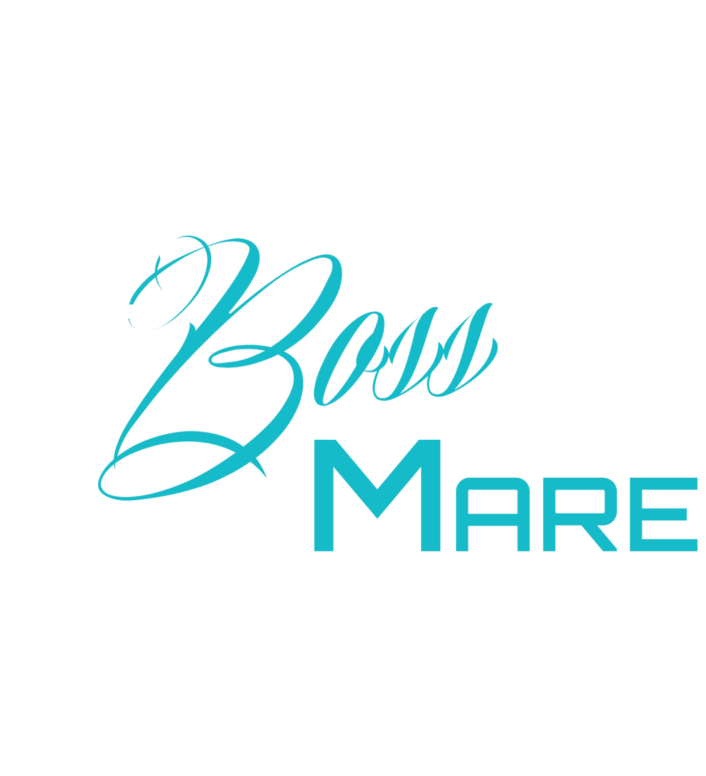 Big Boss Mare:  Black with Teal