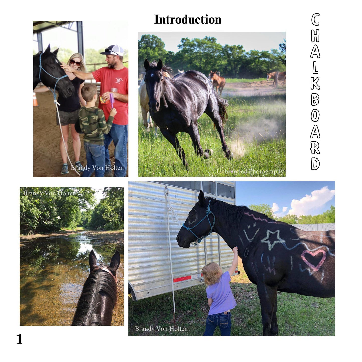 Adventures at Von Holten Ranch: Chalkboard